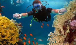 Candidasa Bali Dive