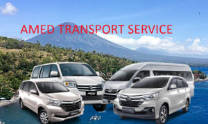 Amed Transport Service